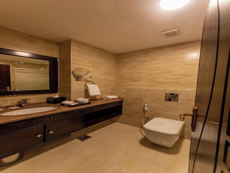 Petra Canyon Hotel image