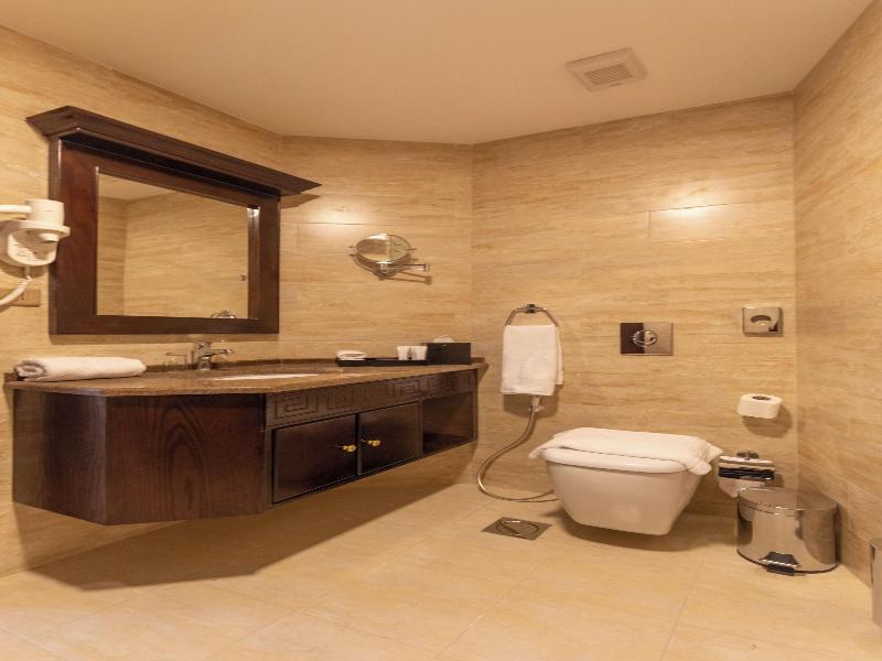 Petra Canyon Hotel image