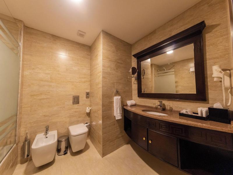 Petra Canyon Hotel image