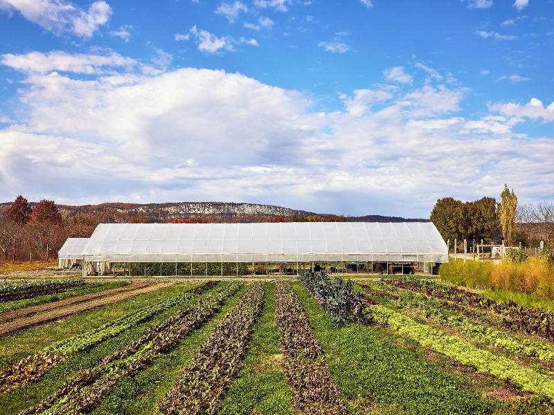 Wildflower Farms, Auberge Collection image