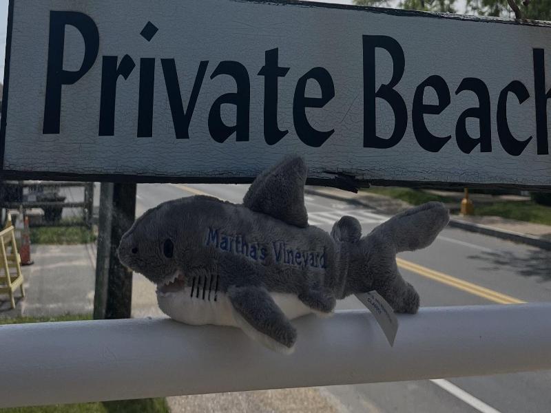 Vineyard Harbor Motel - Private Beach image