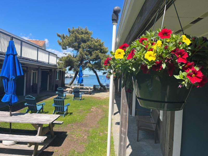 Vineyard Harbor Motel - Private Beach image