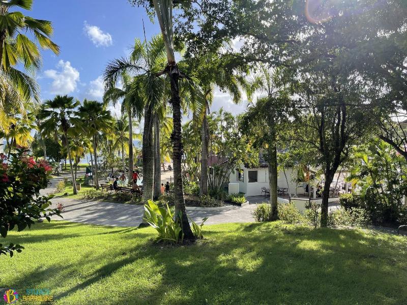 Barbadine - Resorts Flats - Sainte Anne image