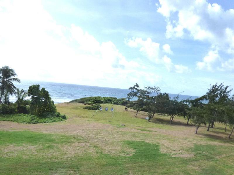 Barbadine - Resorts Flats - Sainte Anne image