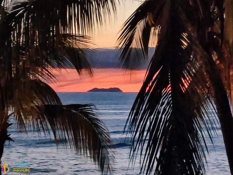 Barbadine - Resorts Flats - Sainte Anne image