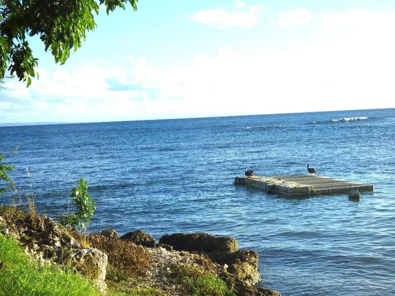 Barbadine - Resorts Flats - Sainte Anne image