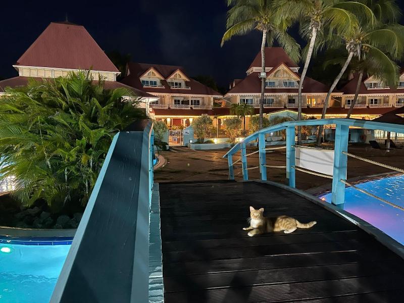 Barbadine - Resorts Flats - Sainte Anne image