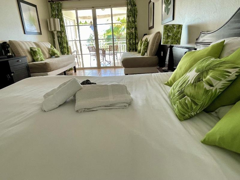 Barbadine - Resorts Flats - Sainte Anne image