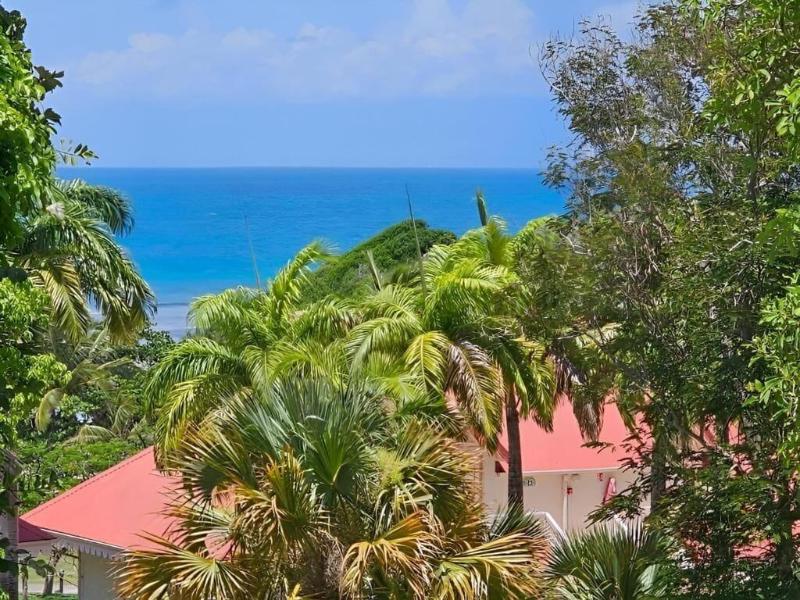 Barbadine - Resorts Flats - Sainte Anne image