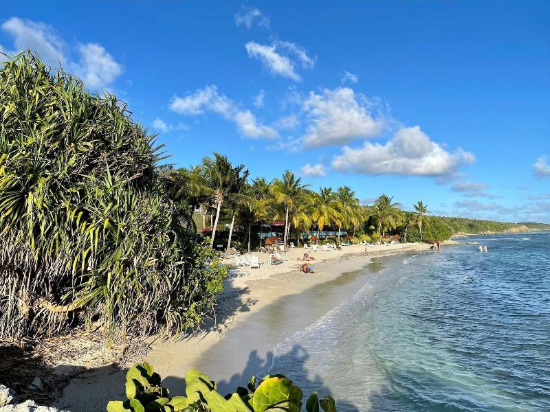 Barbadine - Resorts Flats - Sainte Anne image