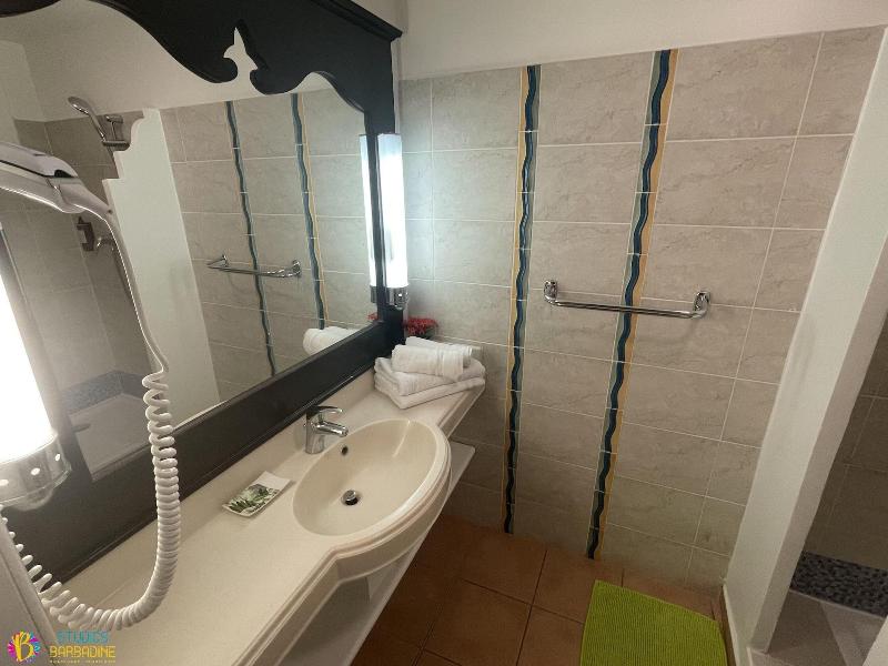 Barbadine - Resorts Flats - Sainte Anne image