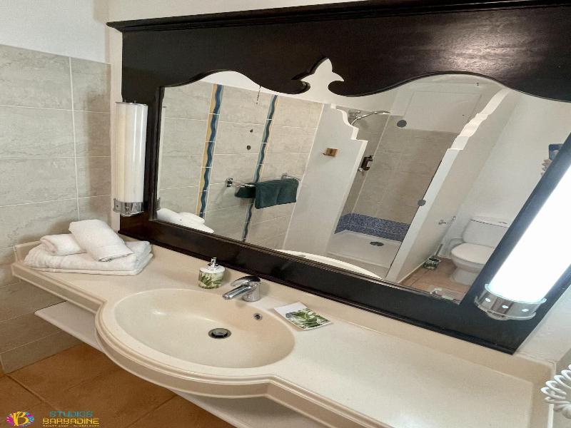 Barbadine - Resorts Flats - Sainte Anne image
