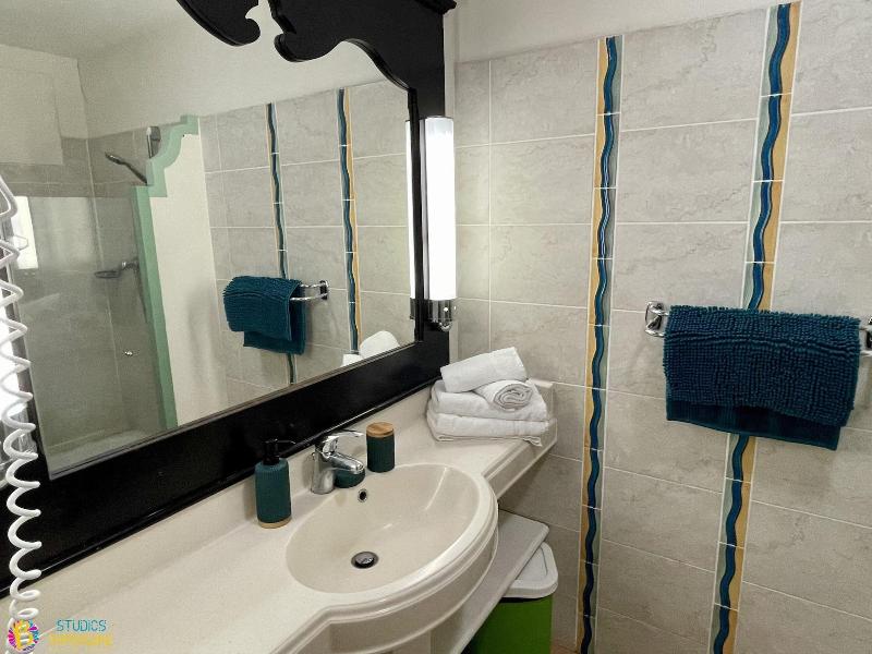 Barbadine - Resorts Flats - Sainte Anne image