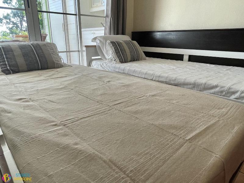 Barbadine - Resorts Flats - Sainte Anne image