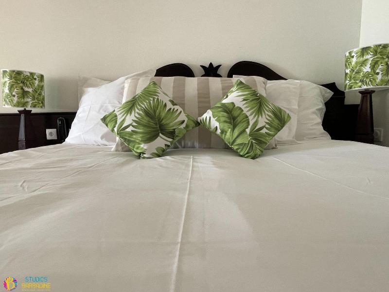 Barbadine - Resorts Flats - Sainte Anne image