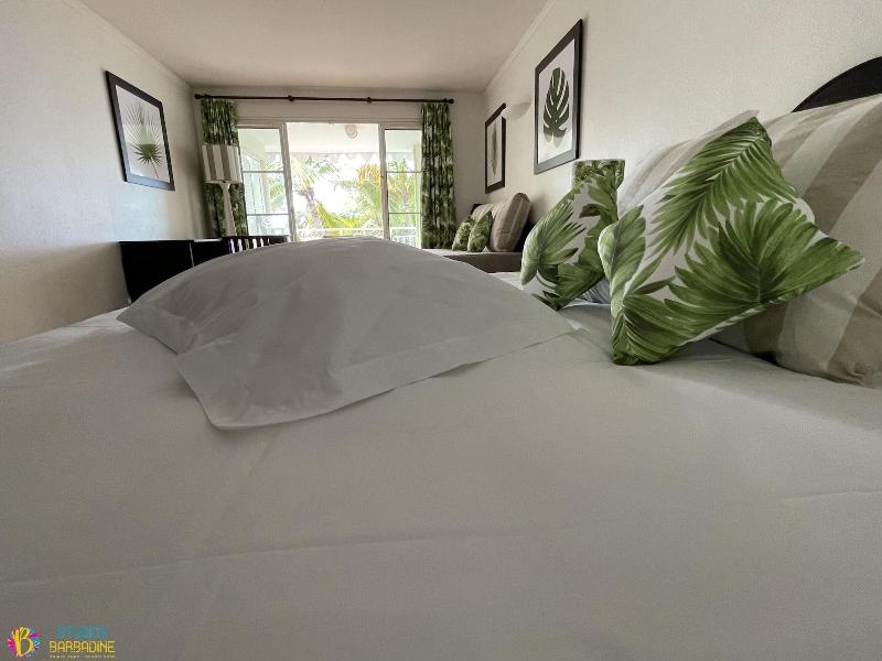 Barbadine - Resorts Flats - Sainte Anne image