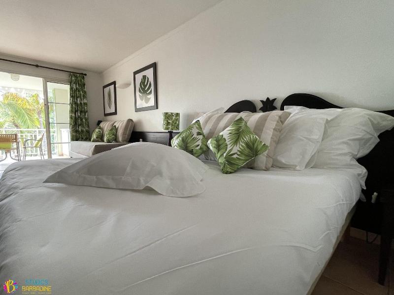 Barbadine - Resorts Flats - Sainte Anne image