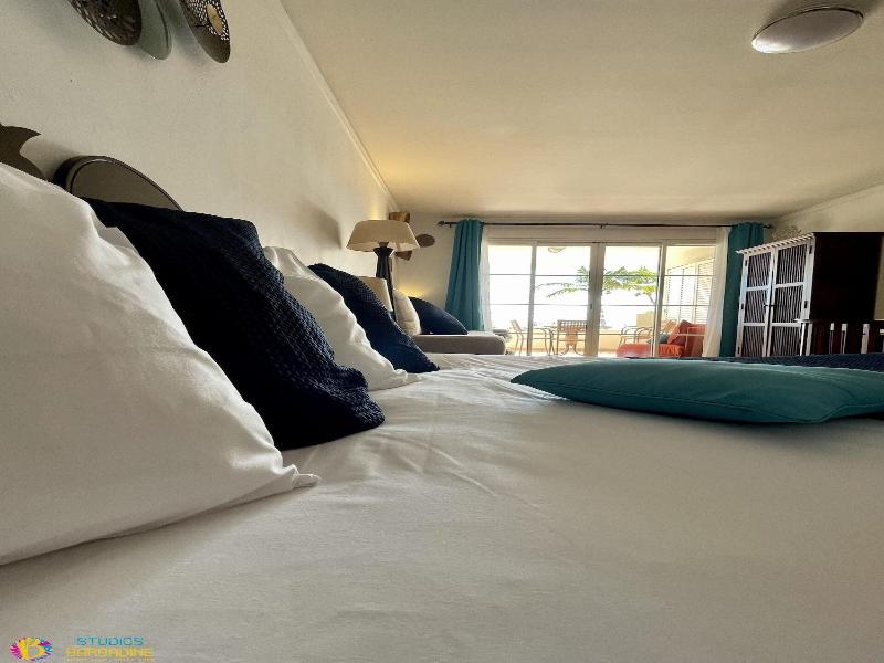 Barbadine - Resorts Flats - Sainte Anne image
