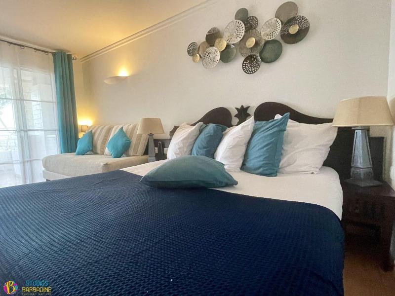 Barbadine - Resorts Flats - Sainte Anne image