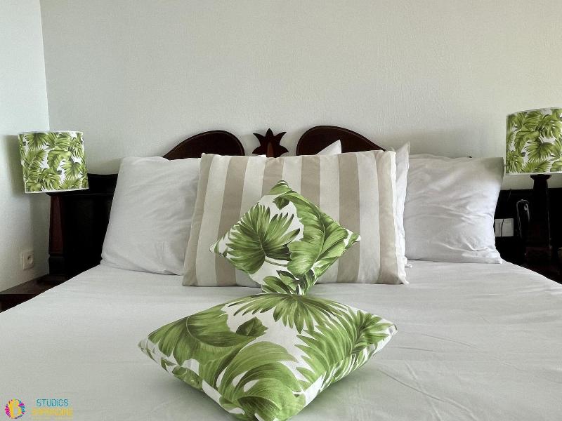 Barbadine - Resorts Flats - Sainte Anne image