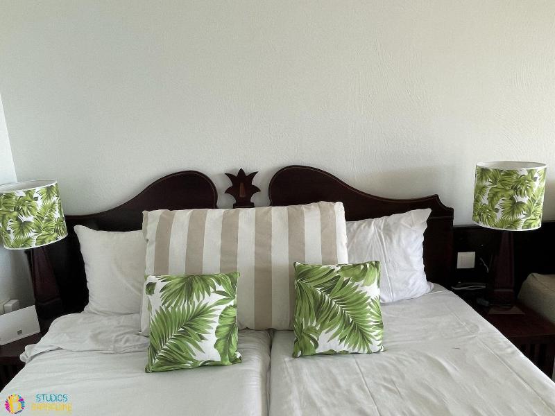 Barbadine - Resorts Flats - Sainte Anne image