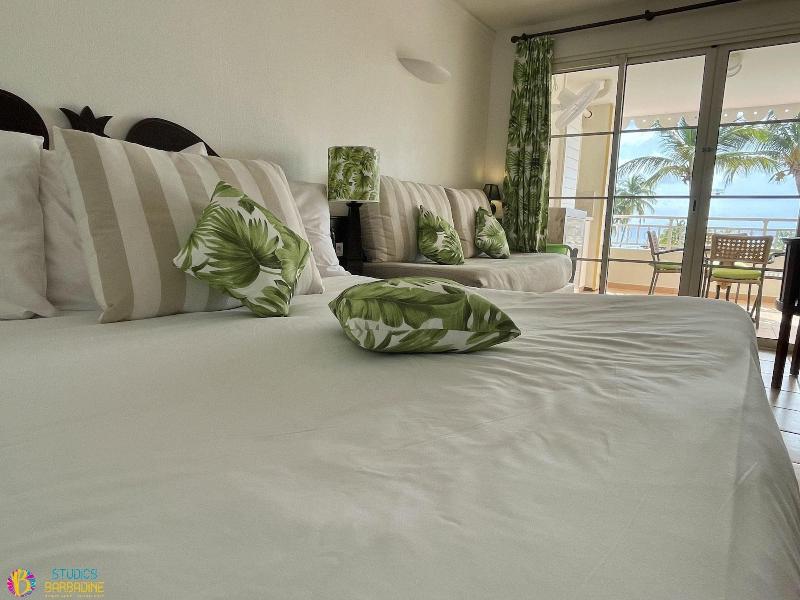 Barbadine - Resorts Flats - Sainte Anne image
