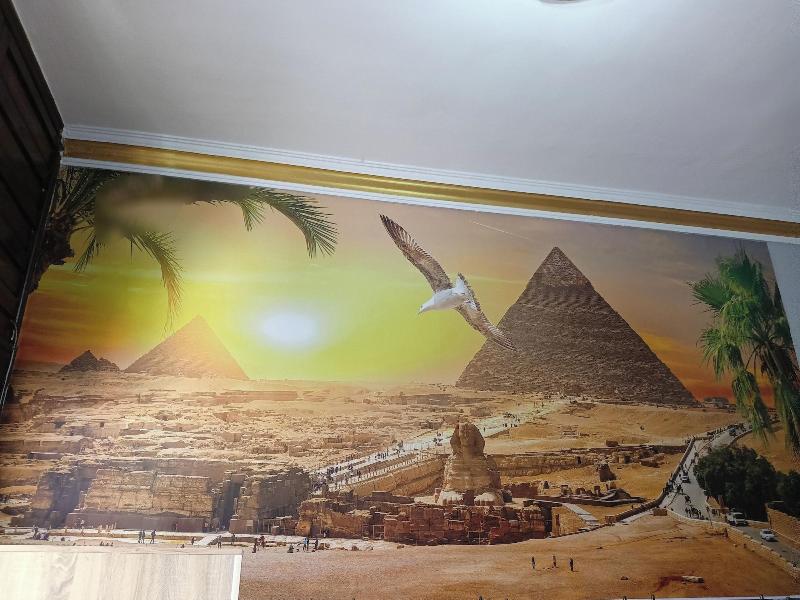 Falcon Pyramids Inn — general view