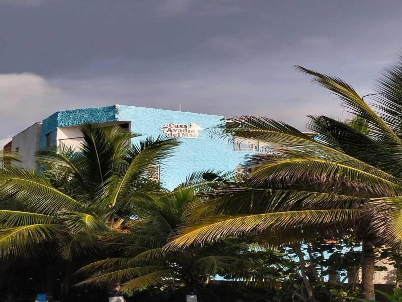 Hotel Avadia Del Mar image