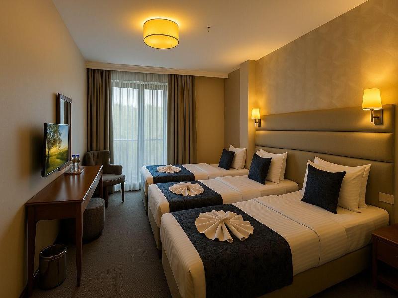 Istanbul Midpoint Hotel image