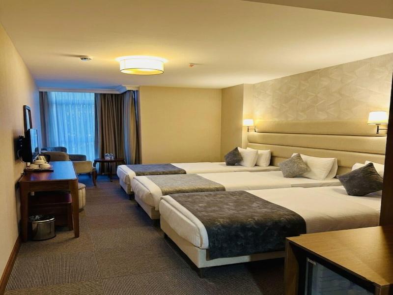 Istanbul Midpoint Hotel image
