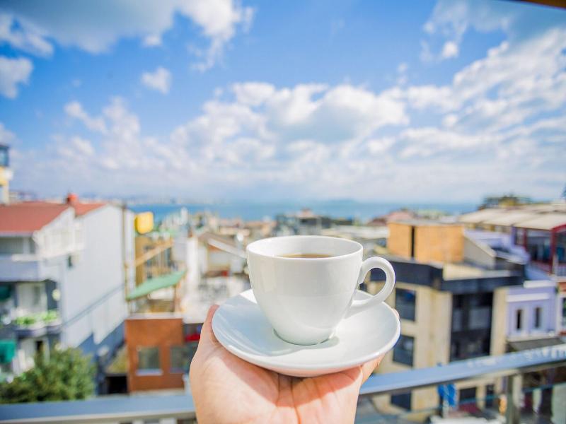 Gulec Konak Hotel image