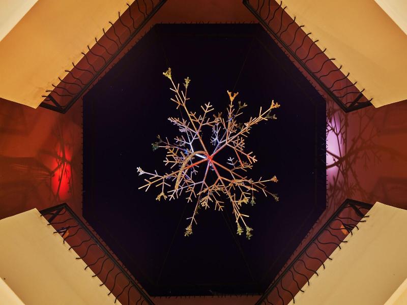 Zen Zone Boutique Riad & Spa image