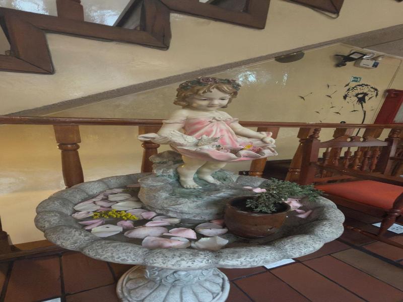 Hostal Viena Internacional B&B image