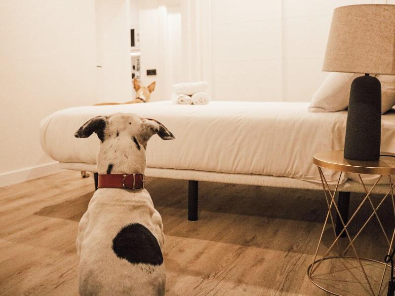 Apartamentos Mã¡laga Premium - Calle Granada image