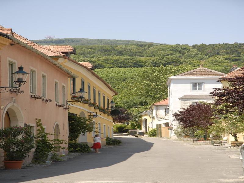 Winzerhotel Gumpoldskirchen image
