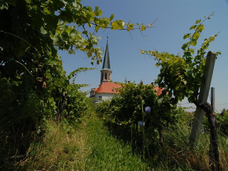 Winzerhotel Gumpoldskirchen image
