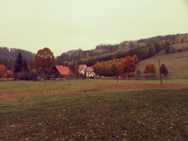 Penzion Javorskvo Mlvon image