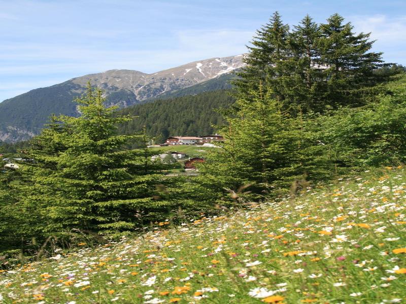 Gasthof Bergblick image