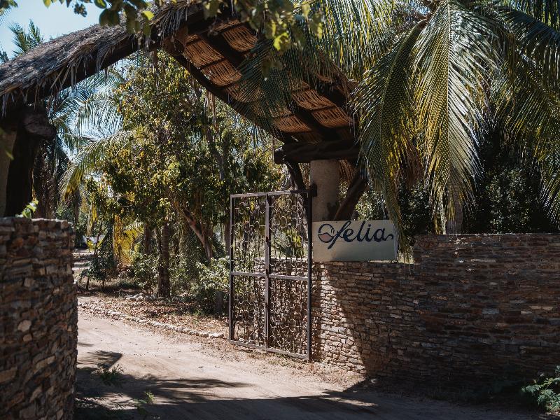 Casa Ofelia image