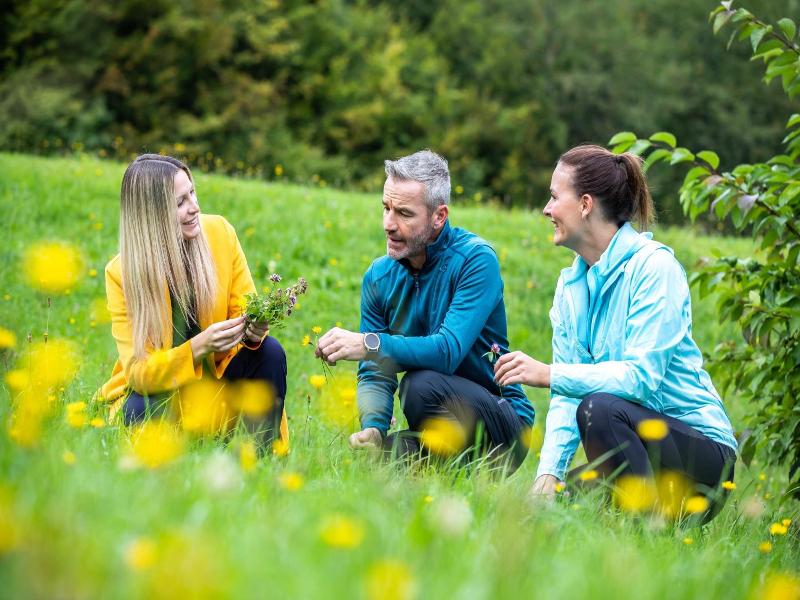 Gesundheits Wellnessresort Salzerbad