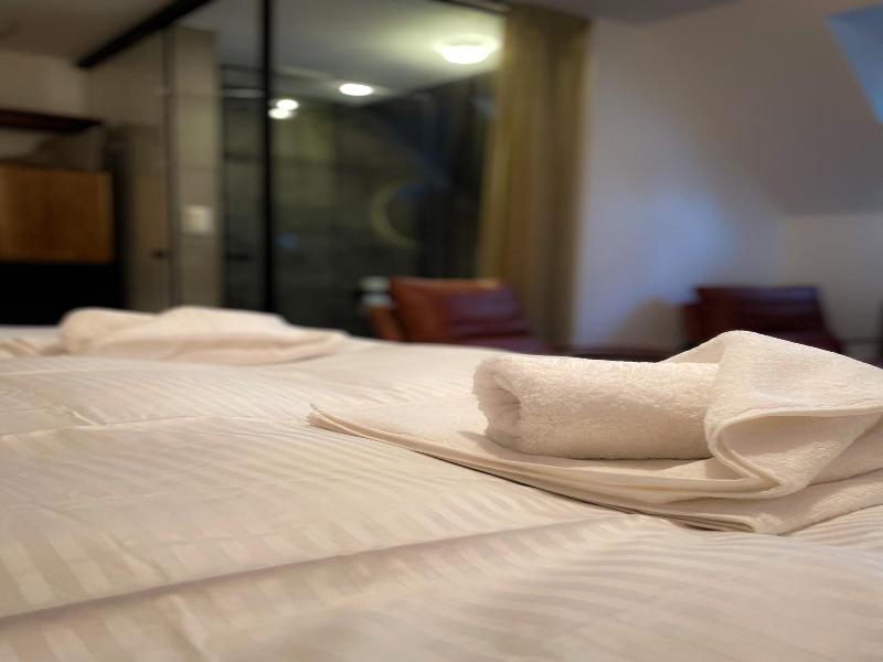 Boutique Hotel Spa Doma U Nv S Entry Aquacity Free image