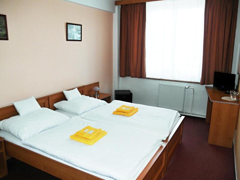 Hotel Vysocina image