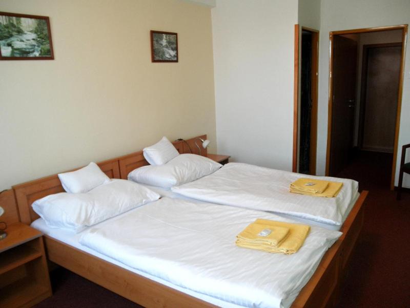 Hotel Vysocina image
