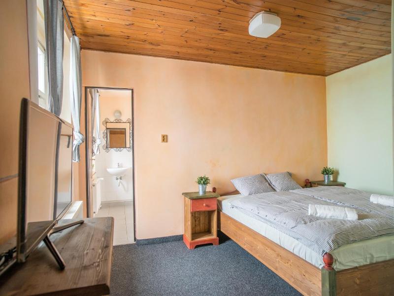 Hotel Plesivec image