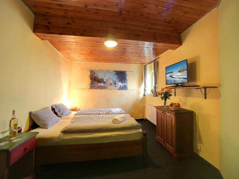 Hotel Plesivec image