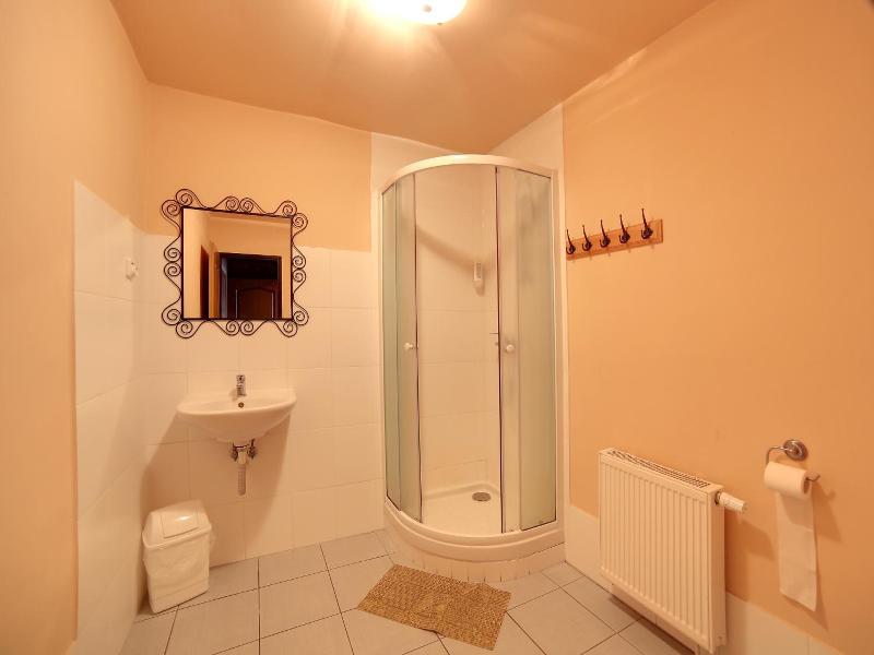 Hotel Plesivec image