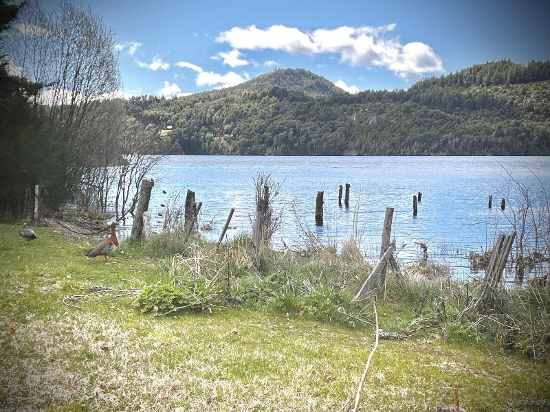 Apartments Bariloche - Moreno Lake image