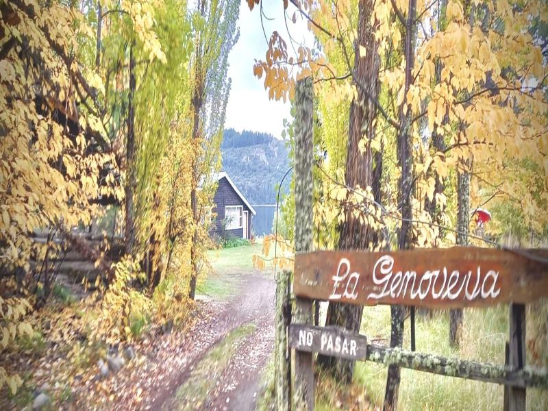 Apartments Bariloche - Moreno Lake image