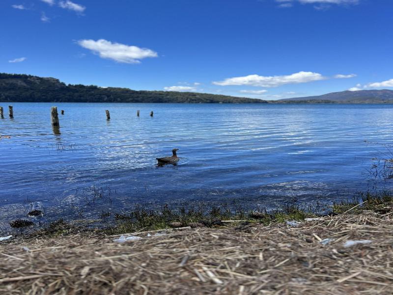 Apartments Bariloche - Moreno Lake image