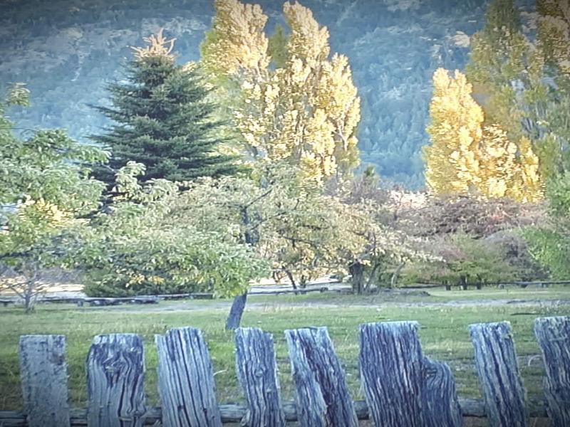 Apartments Bariloche - Moreno Lake image